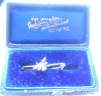 In its original case a small jewelled insect brooch