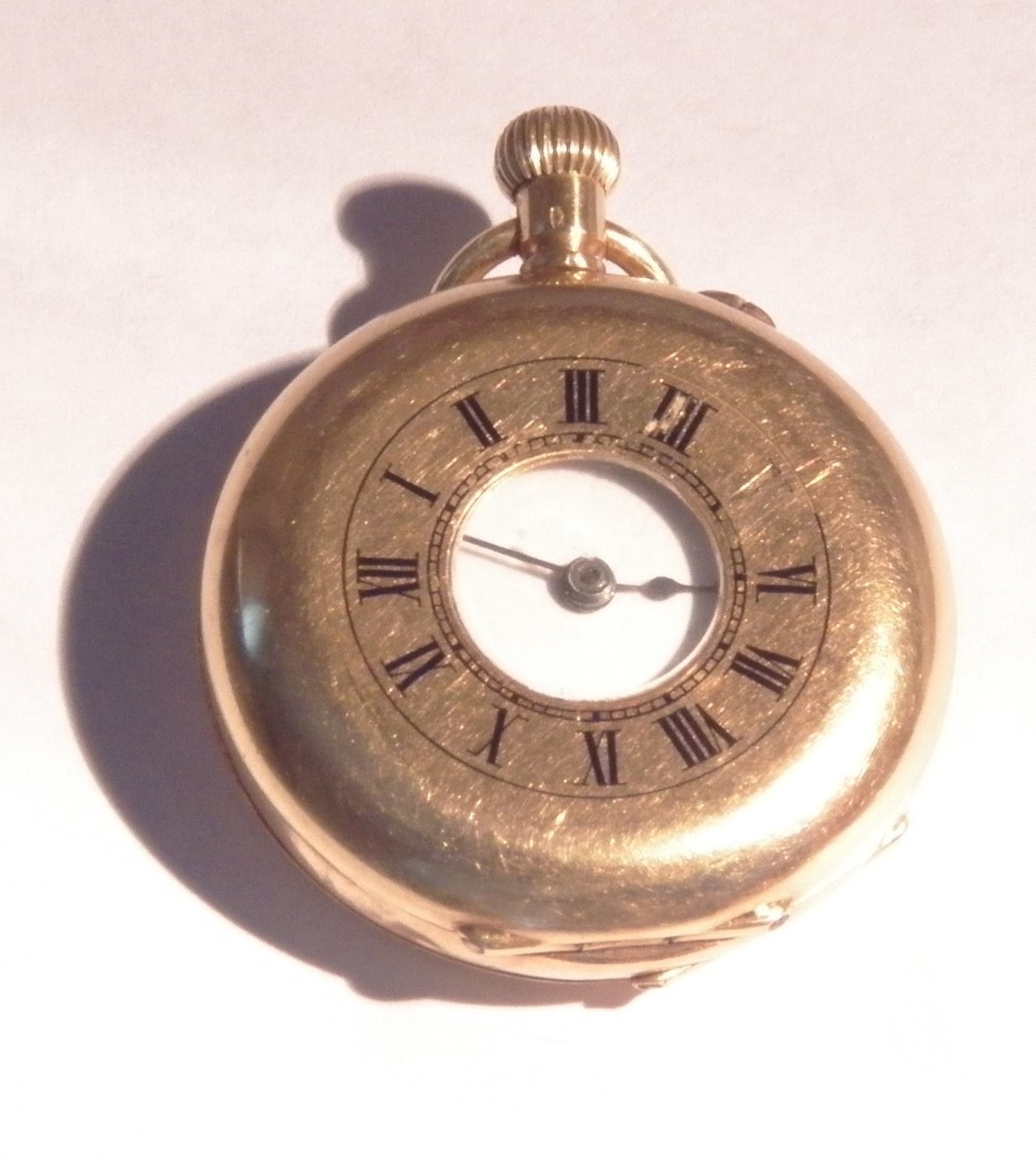 Swiss hunter watch inspected by Godwin